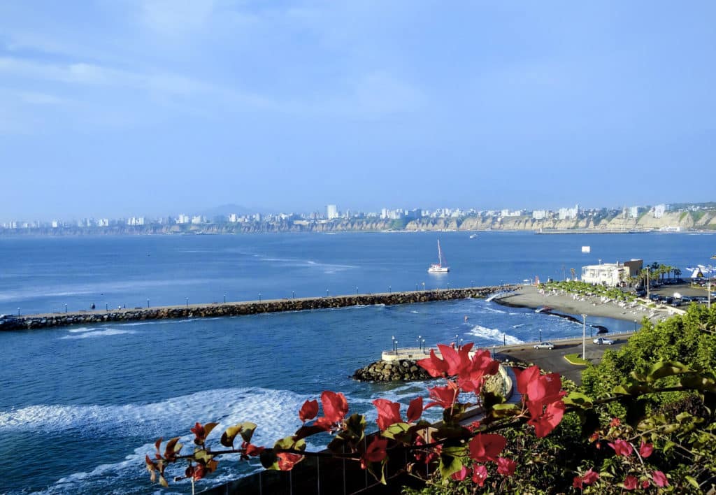 Vista de uma cidade costeira com um quebra-mar, mar azul, edifícios distantes e flores vermelhas em primeiro plano.