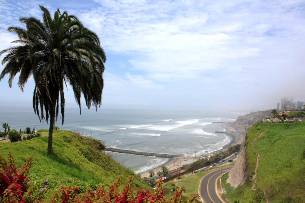 Foto de área mais alta no bairro Miraflores, em Lima, com vista para o mar. Uma palmeira fica em uma colina gramada com vista para uma costa curva, ondas do mar e uma estrada sinuosa abaixo.