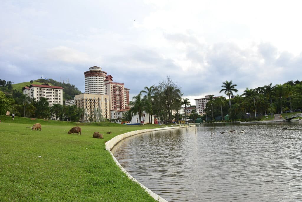 Praça Adhemar de Barros em Águas de Lindóia, São Paulo. Algumas capivaras estão na beira do lago. Ao fundo há prédios e árvores, além de brinquedos coloridos para crianças.
