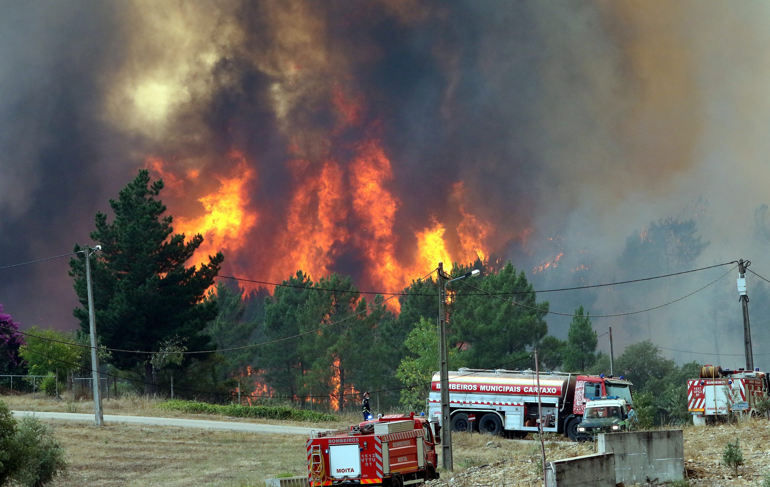 Incêndios: Fogos consumiram 139 mil hectares, 17 vezes a área ardida em 2024