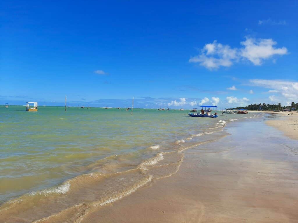 Praia com mar cristalino e poucas ondas, com algumas jangadas estacionadas na parte mais rasa.