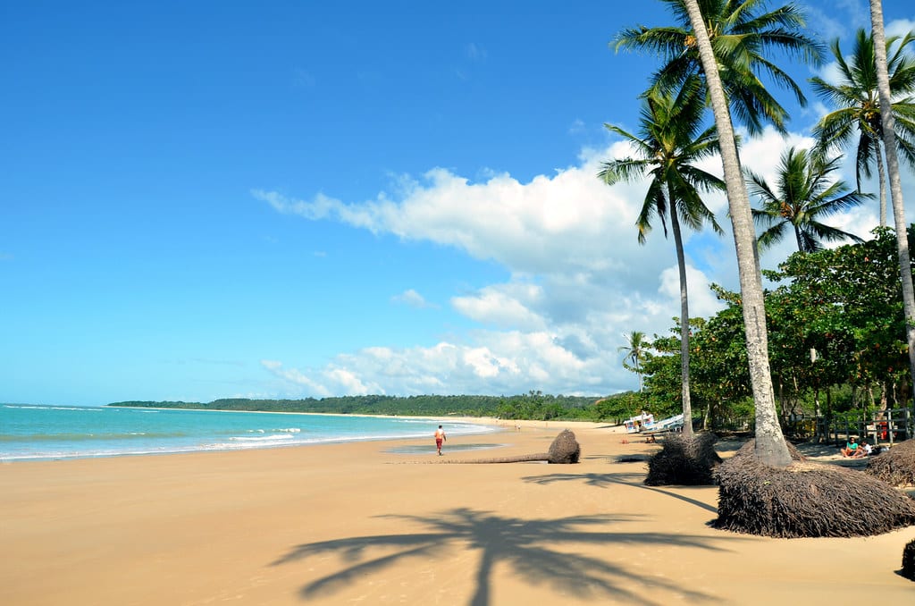 Palmeiras projetando sombras em uma praia arenosa com uma pessoa caminhando ao longe sob um céu azul claro.