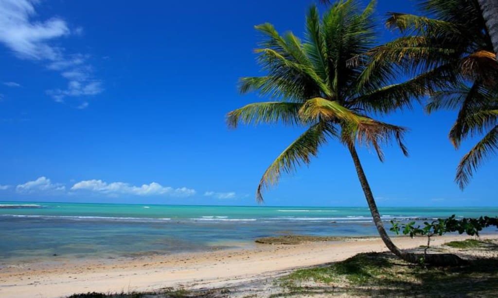 Uma praia tropical com águas azul-turquesa, areia branca e duas palmeiras inclinadas sob um céu azul claro.