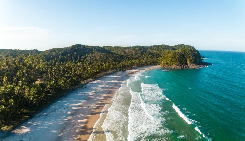 Vista aérea de uma praia de areia com palmeiras, ondas e uma colina arborizada que se estende até o mar sob um céu claro, na Praia de Itacaré.