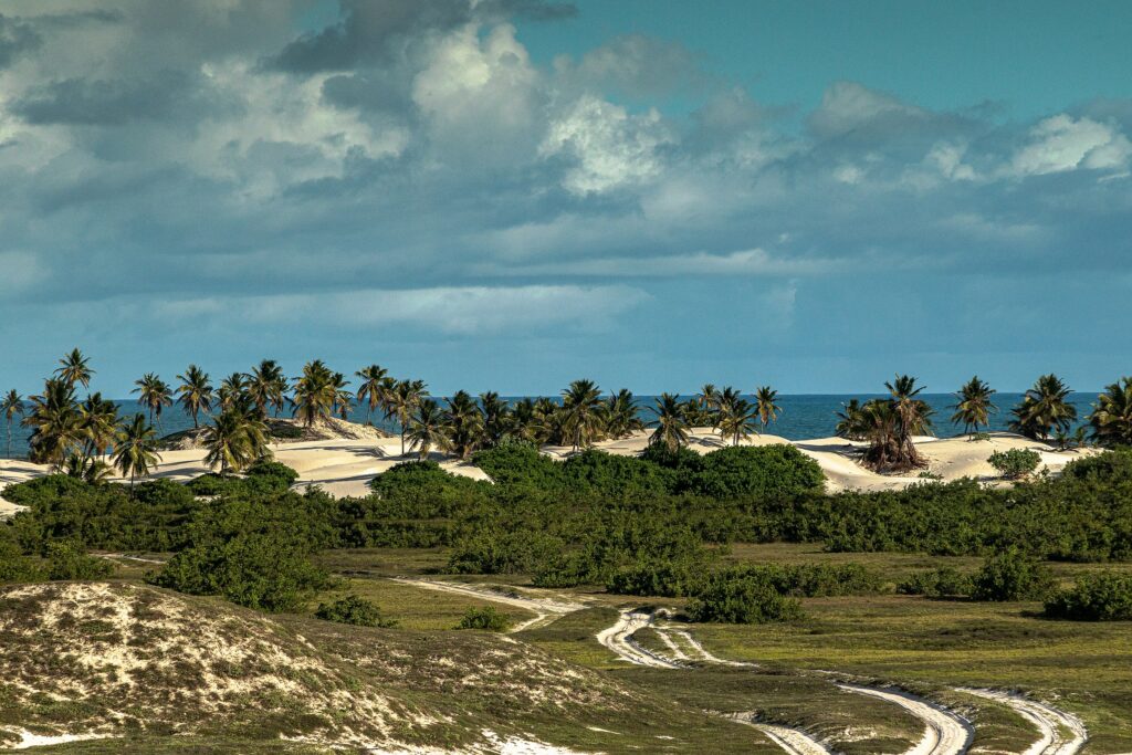 Área de proteção ambiental em Mangue Seco, última cidade para reservar pousadas na Linha Verde, na Bahia.