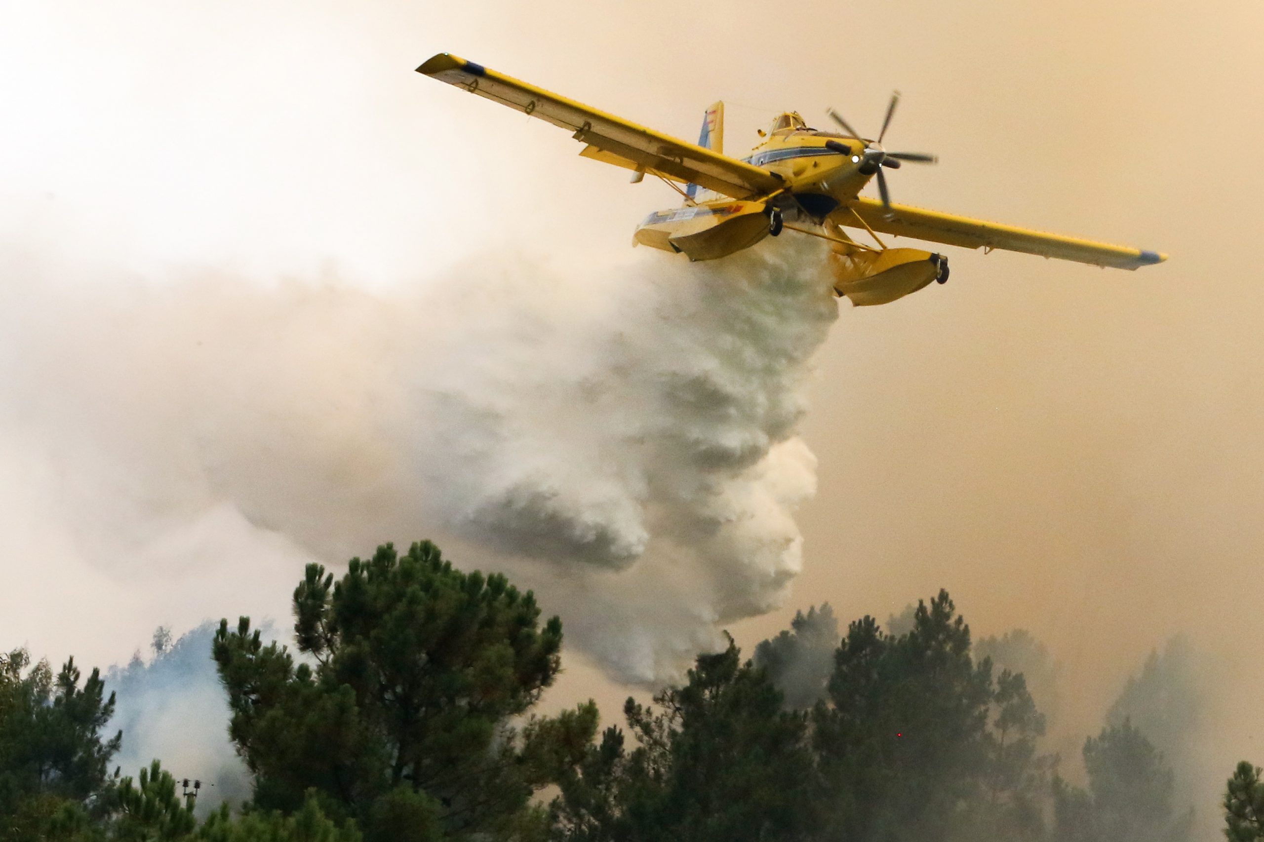 Todos os concelhos de Bragança, Viseu e Castelo Branco em risco máximo de incêndio