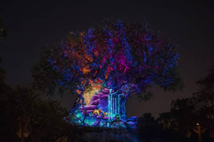 A árvore da vidas com projeções do filme "O Rei Leão"- Foto: Disney oficial