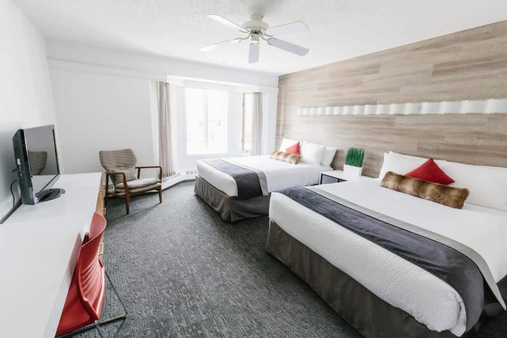 Quarto do Elk + Avenue Hotel com duas camas de casal, entre elas há uma mesinha com uma planta e ao fundo tem uma janela com cortinas. O chão é de carpete cinza, tem uma poltrona e na frente das camas tem uma mesa branca com uma tv e uma cadeira vermelha.