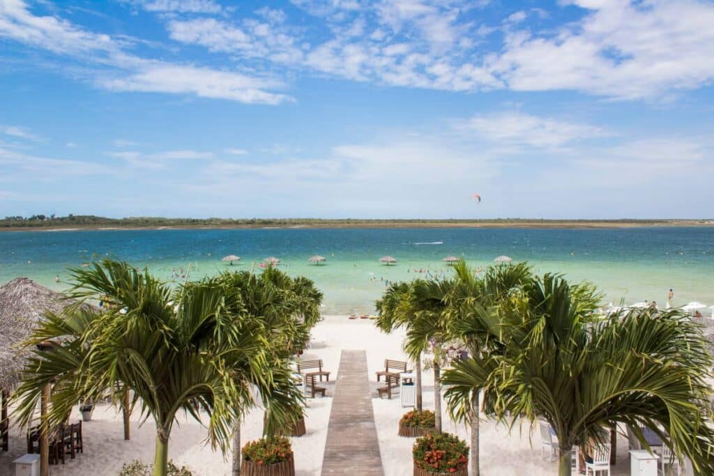 Foto que mostra uma passarela na areia entre vários coqueiros em direção às lagoas de Jericoacoara. O céu é azul e tem poucas nuvens.