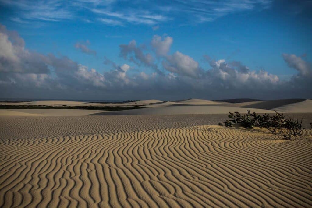Foto que mostra as dunas de areia no Parque Nacional de Jericoacoara. O céu no fundo é azul e possui algumas nuvens.