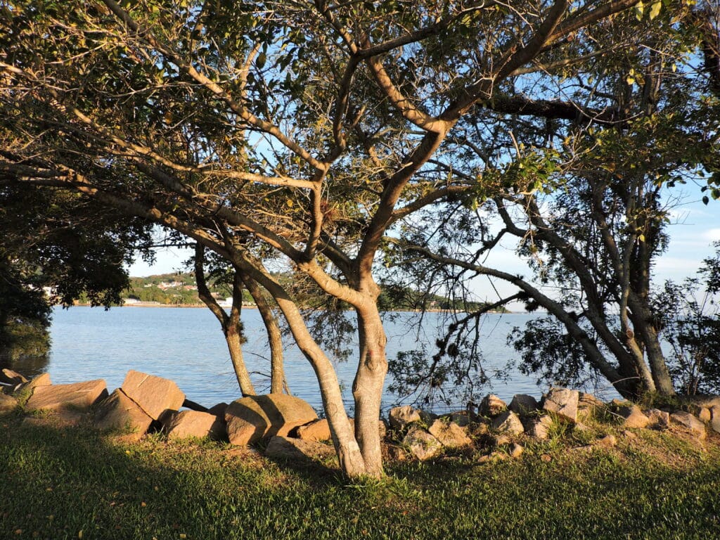 Beira do Lago Guaibá com árvores, pedras e grama.