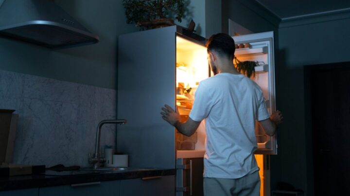 O seu frigorífico costuma dar estalidos? Saiba a razão