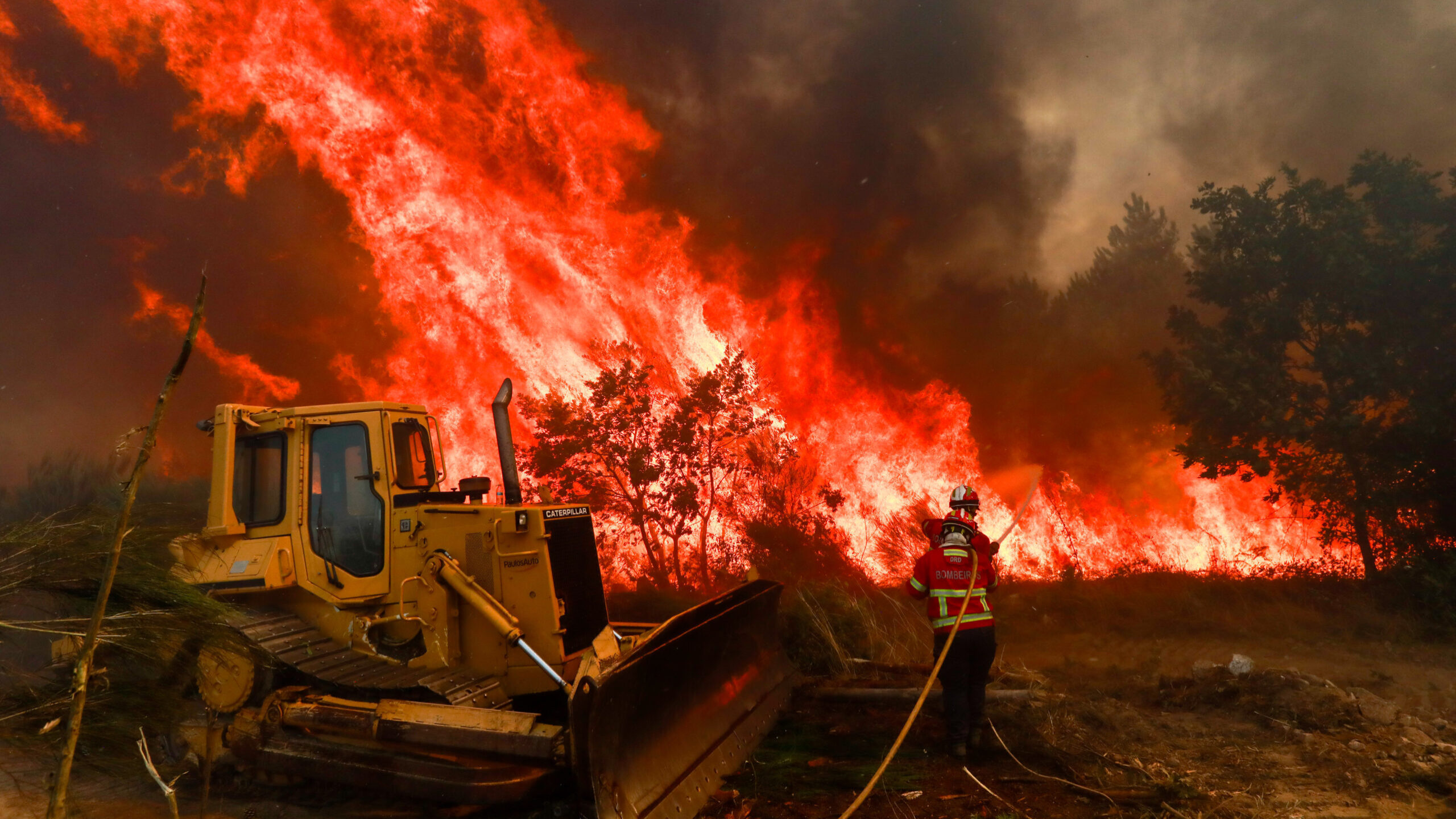 PJ detém o presumível autor de cinco crimes de incêndio florestal em Viana do Castelo