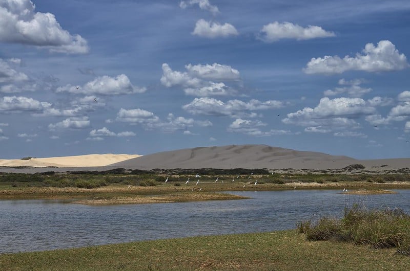 Paisagem da Rota das Emoções, entre Barreirinha e Paulino Neves, com vegetação rasteira, água, garças, e dunas ao fundo