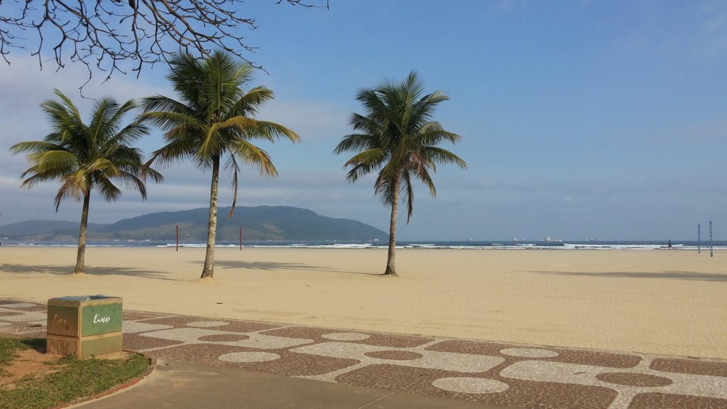 Orla da praia do Embaré, com coqueiros e calçada